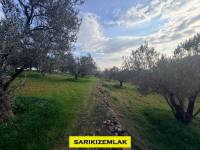Resim13453
